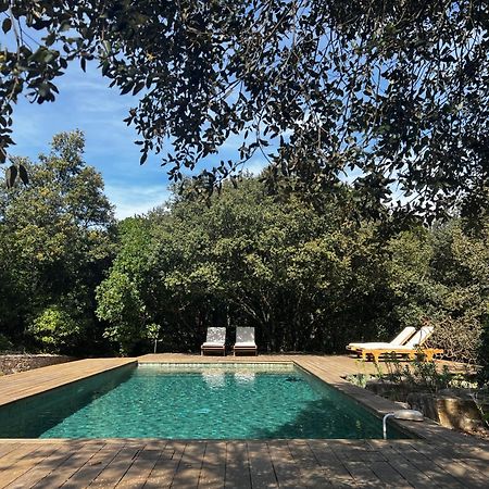 La Canopee Private Ecolodges Nîmes Exterior foto